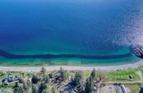 Powell River Apartment | Pet Friendly Escape at Powell River Pine Haven Retreat