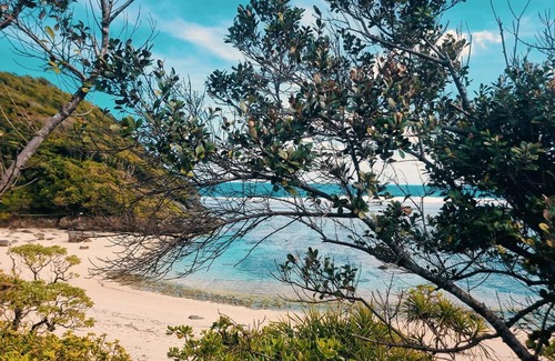 Santa Ana Resort | Delightful Pozorobo Beach Club with Ocean Views & Pet-Friendly