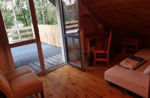 Pradocin Apartment | Scenic Prądocin: Lakefront Home with Private Beach Access