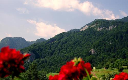 Bohinjska Bela House | Top-rated Family Hotel: Pr Bevc with Child-Friendly Amenities
