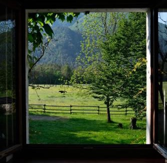 Tramonti di Sotto Apartment | Discover Pradileva: Pet-Friendly Haven with Breakfast