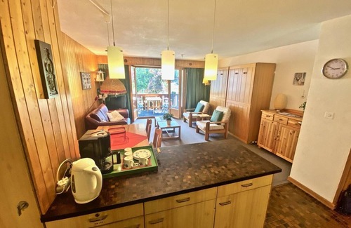 Morgins Apartment | Cozy Pre Vert B24 - One Bedroom Apartment with Kitchen