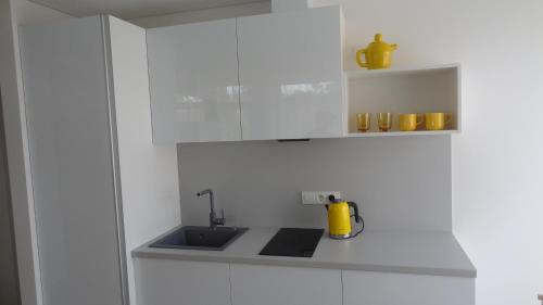 Preila Apartment | Top-Rated Preila Holiday: Ideal for Families and Pets