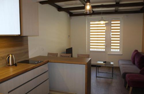 Preila Apartment | Discover Preilos Vėtra: Family-Friendly & Accessible Stay