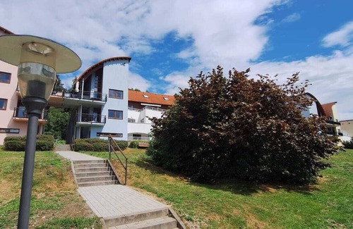 Lipno nad Vltavou Apartment | Premium apartment with private sauna and terrace near Lipno Lake and Ski resort