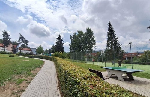 Lipno nad Vltavou Apartment | Premium apartment with private sauna and terrace near Lipno Lake and Ski resort