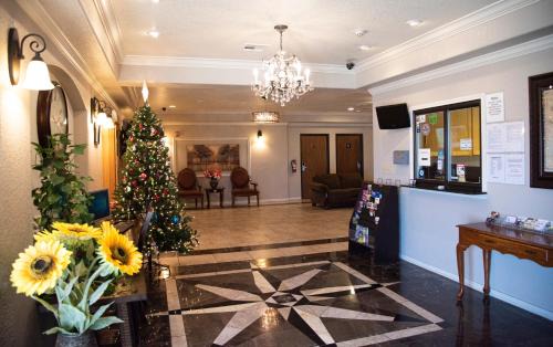 Killeen Hotel | Explore Premium Inn and Suites: Family-Friendly Comfort