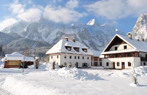 Hinterstoder Apartment | Outstanding Prentnergut: Pet-Friendly with Family Amenities