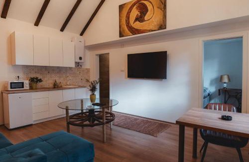 Sabac Apartment | Premier PRESIDENT APARTMANI with Spa and Family Amenities