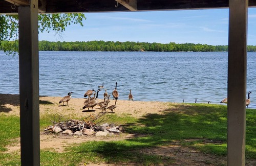 Alpena Cottage | Pet-Friendly Presque Isle Resort Cottage with Lake View