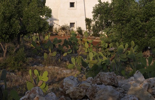 Torre Vado Villa | Relax at Prickly Pear Villa: Pool, Ocean View & Spa