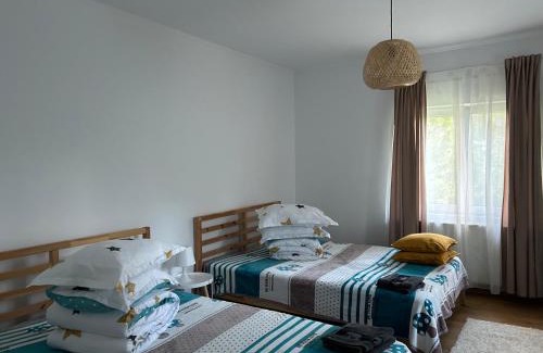 Provita de Sus House | Pet-Friendly Retreat at Pridvorul lui Viorel with Ocean Views