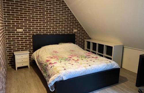 Dokkum House | Cozy Accommodations at a Unique Dokkum Horse Farm