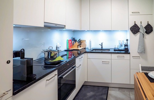 Basel City Centre Apartment | Prime Apt near Messe 2min– for Fairs & Exhibitions