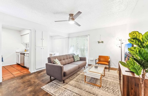 Windsor Park Apartment | Bright 1BR Suite with Gym Near Downtown and UT