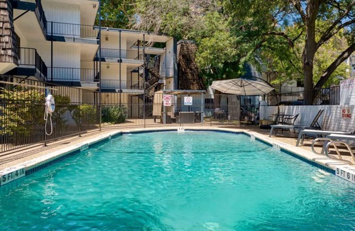 Windsor Park Apartment | Bright 1BR Suite Near DT & UT with Kitchen and Gym Access