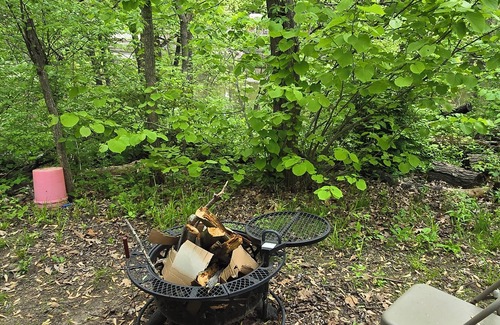 Winamac Cabin | Cozy Primitive Cabin #2 in Winamac - Pet Friendly Retreat