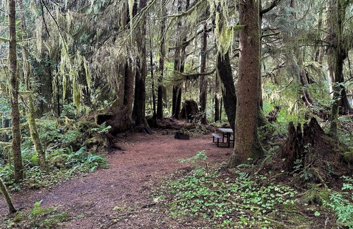 Forks RV Rental | Discover Primitive Tent Site #3 in a Serene Forest Setting
