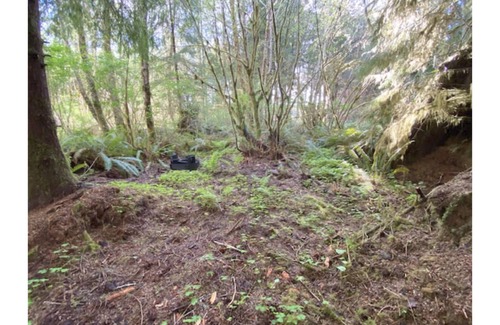 Forks RV Rental | Enchanting Primitive Tent Site in the Rain Forest