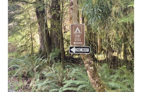 Forks RV Rental | Enchanting Primitive Tent Site in the Rain Forest