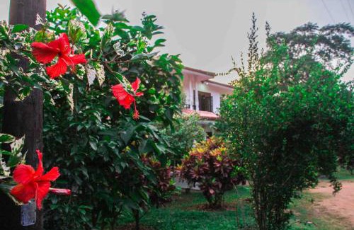 Sigiriya House | Experience Prince Villa Sigiriya: 10/10 Ratings & Pet Friendly