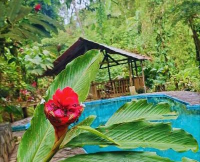 Penas Blancas Cabin | Escape to Princesa de la Luna Ecolodge with Pool & Hot Tub
