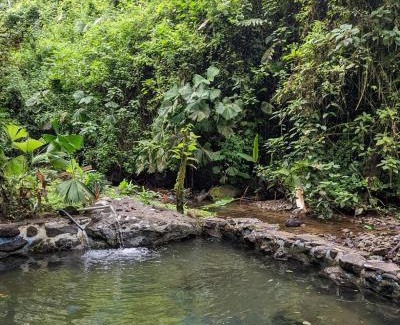 Penas Blancas Cabin | Escape to Princesa de la Luna Ecolodge with Pool & Hot Tub