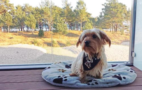 Prora Apartment | Elegant Princess Hotel: 5-Star Oceanfront Retreat