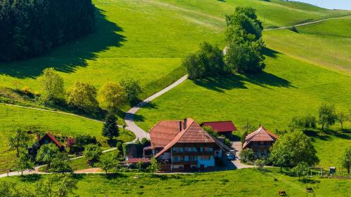 Muehlenbach Apartment | Prinzbachhof: Family-Friendly Escape with 9.6/10 Rating