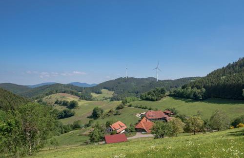 Muehlenbach Apartment | Prinzbachhof: Family-Friendly Escape with 9.6/10 Rating