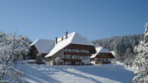 Muehlenbach Apartment | Prinzbachhof: Family-Friendly Escape with 9.6/10 Rating