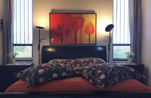 Tucson House | Explore Privacy and Views Near Saguaro National Park