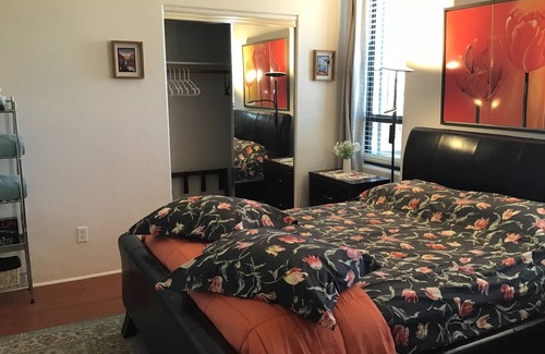 Tucson House | Explore Privacy and Views Near Saguaro National Park