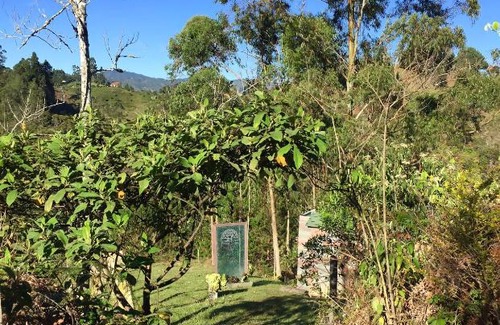 Rionegro Other | PrivaDome: Guest Rated 10/10 with Pet-Friendly Amenities