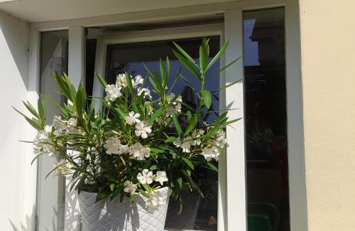 Trencin Apartment | Discover Privat 2 na Sihoti: Kid-Friendly Retreat with Pool