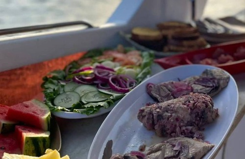 Fernando de Noronha Boat Rental | Private Speedboat Experience in Noronha - Spa & Family Friendly