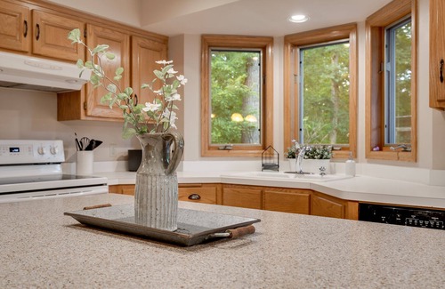 Blaine House | Relaxing 4 BR Retreat with Wooded Backyard & Hot Tub