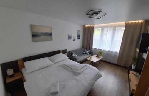 Rozvadov Apartment | Top-Rated Private Apartment in Rozvadov - Book Your Stay!
