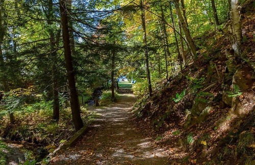 Utterson Cottage | Idyllic Beachfront Retreat on Skeleton Lake with Spa Access