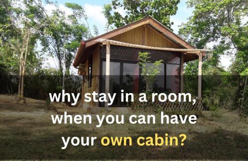 Sigiriya Apartment | Serene Private Cabin with Kitchen & Guest Rated 10/10