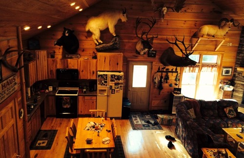 Chief Lake Cabin | Cozy Cabin on Chippewa Flowage with Beach & Great Fishing!