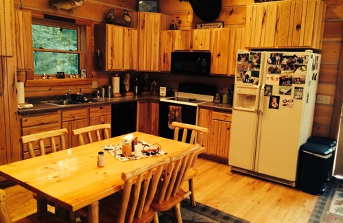Chief Lake Cabin | Cozy Cabin on Chippewa Flowage with Beach & Great Fishing!