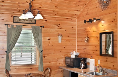 Flintstone Ski Chalet | Cozy Cabin Retreat with Lake View and Kitchen Amenities