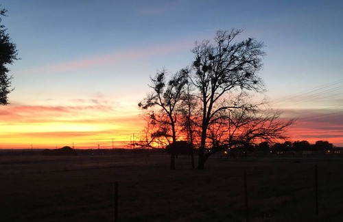 Gatesville Cabin | Private Country Cabin Getaway Romantic atmosphere