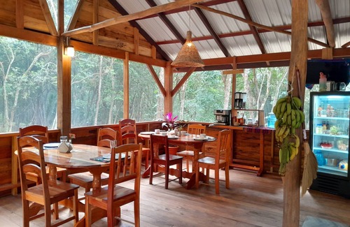 San Ignacio Cabin | Private forest view cabin w/AC, 2 beds-restaurant and car rental on site.