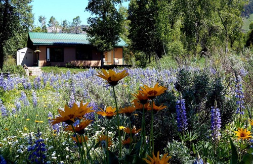 Bedford House | Serene Retreat: Creekside Home with Family-Friendly Amenities
