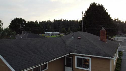 Eureka House | Discover the RedwoodSkyWalk Retreat Near Sequoia Park