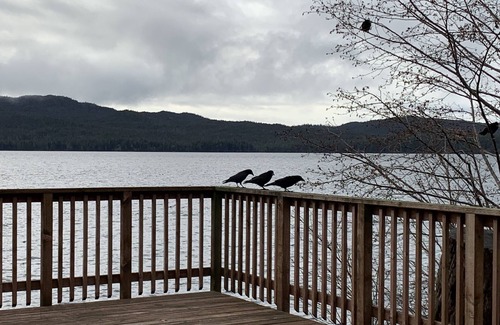 Ketchikan House | Oceanfront Retreat with Extreme Views & Premium Hosting