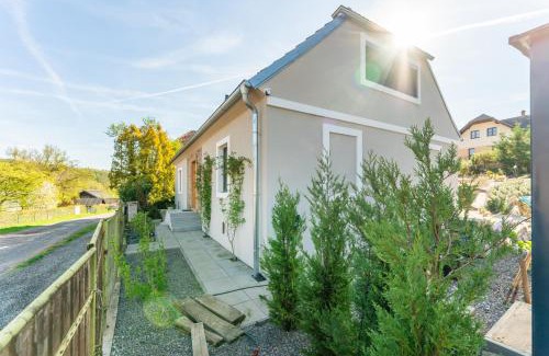 Novy Jachymov House | Private house with garden