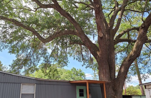 Hinesville House | Cozy Private Studio with Kitchen for Couples and Solo Travelers